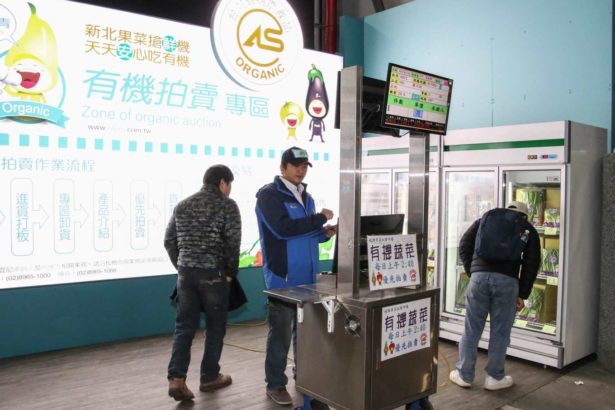全台唯一有机蔬菜拍卖上路！新北农业局：先做通路再开农路