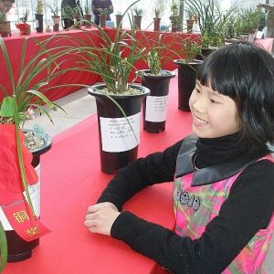 2014宁波象山兰花展人物篇