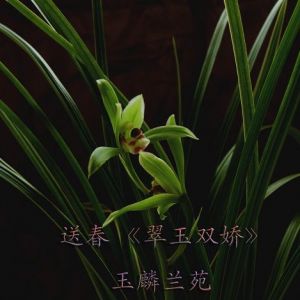 翠玉双娇送春
