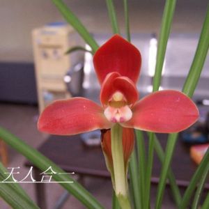 天人合一豆瓣