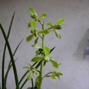 春夏话两腐