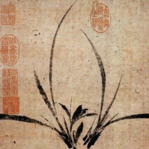 郑思肖的兰花情结