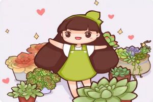 一见多肉误终生,从此钱包全掏空!