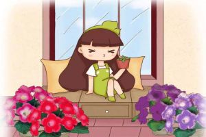 扦插老不生根？试试这6招，1盆变10盆，家里多的放...