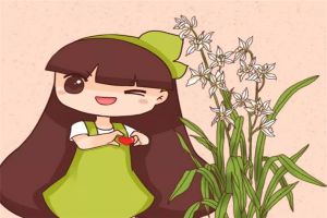 兰花3年不开花？养兰大神教你这1招，1个月养出极品天...