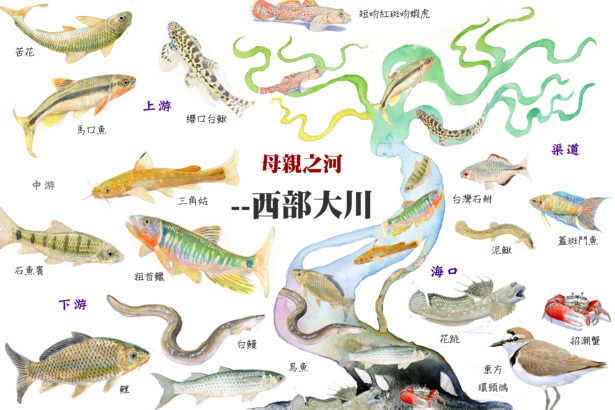 与溪神同行（下）：无怨无悔的母亲—西部大川