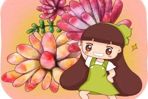 “肉”大十八变，她家的多肉从丑绿到美艳，到底经历了啥...