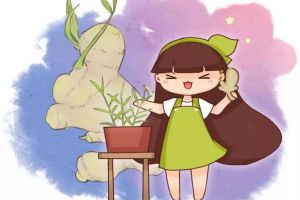 夏天吃块姜，赛过喝补药！丢盆里就能长，一小块能收10...