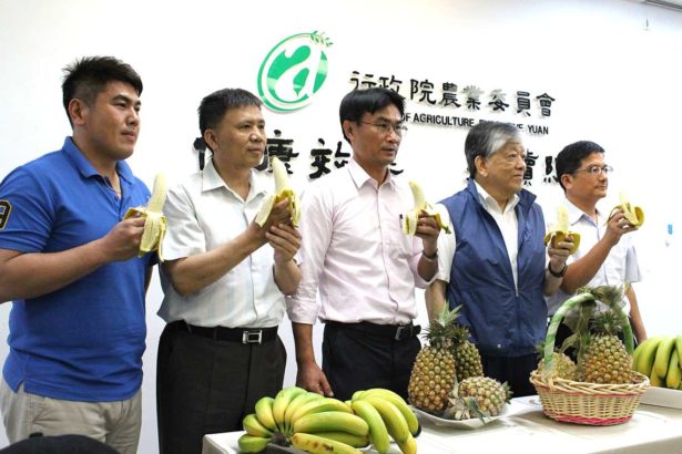 挽救蕉价三支箭，农委会喊下周拍卖价回升至每公斤15元