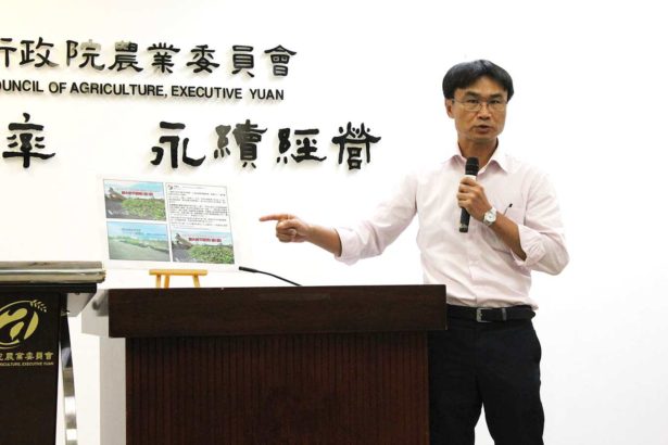 香蕉假新闻疯传，农委会痛批散播谣言，蕉价雪上加霜，扬言提告