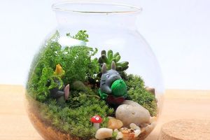 20种花塞进1个玻璃瓶,叶子突突冒水,美的不像样!