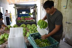 南投县政府关心香蕉价格大量采购转赠运动员及学生