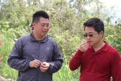 东河乡尚德将发展为香草聚落县长黄健庭亲往视察