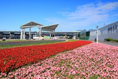 7万盆花争艳怒放台北市延平河滨花海超吸睛