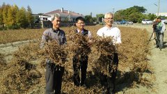 田间黑豆美食飨宴云林县长李进勇邀大家一起