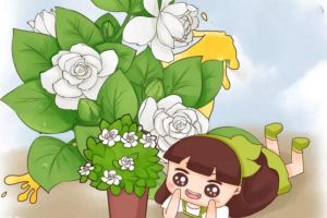 米兰茉莉···加点料,开花200朵,香气满天飞!