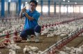 嘉义县邱经尧及黄胜裕当选107年度产销履历达人