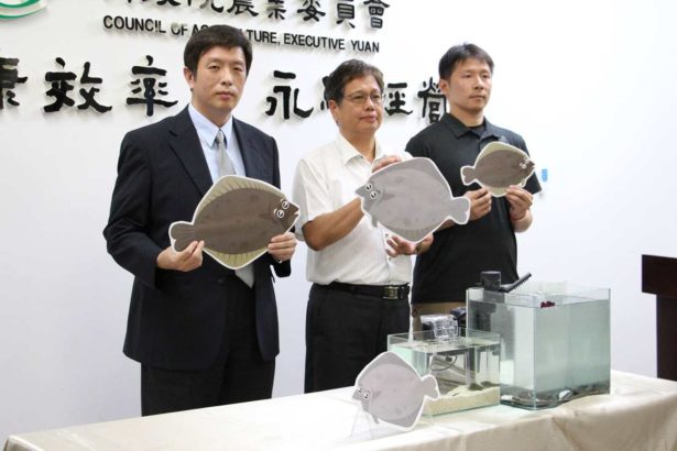 水试所四年研发，冷水养殖牙鲆，目前进口量少价高