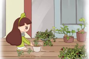 这2盆花放一起，比1台空气净化器还牛，不养几盆亏大了...