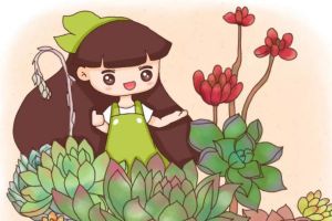 小伙把多肉养成手捧花，1棵上面爆30朵花头，价格翻了...