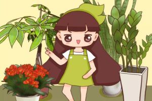 这些“有钱花”,多贵都要养1盆,别等破财的时候才想起...