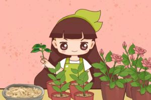 木头渣子竟是养花宝贝？养花大神就靠它，把花1盆变10...