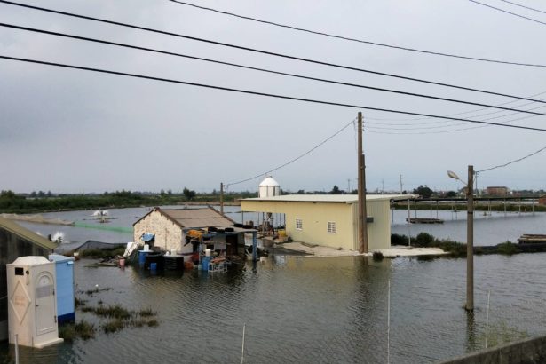 豪雨酿祸，全台农渔灾损破六亿！嘉义掌潭村至今淹水及胸，鱼塭溃堤逃鱼四窜