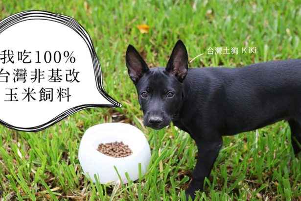 毛小孩的身土不二!100%台湾玉米做宠食,好米蔬果新鲜安心
