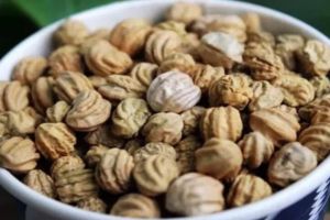 3种傻瓜播种法，100%出芽！播种真没你想象中那么难...