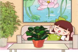 家里这7个角落摆对了花，全家老小都健康，一年顺风顺水...