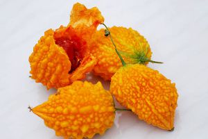 这种“黄苦瓜”，以前遍地是，现在都没卖的，吃起来“甘...