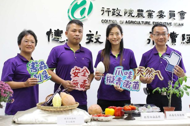 对抗银叶粉虱不用喷农药！花改场十年研究“爪哇拟青霉菌制剂”有效防治，对环境无害