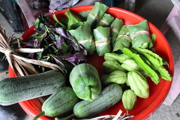 这台菜车好独特！斜杠大叔跟部落阿姨，绕境收野菜在农村孵梦