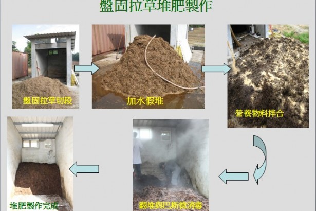 盘固拉草种木耳，有机养生零废弃