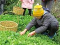 苗栗县107年度休闲农业区评鉴勇夺2优佳绩