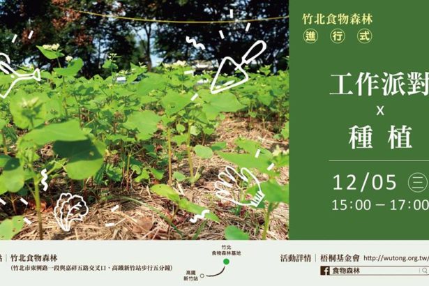 【竹北食物森林进行式】工作派对x种植