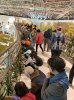 台中花博“花の许愿桥”元月每周末邀民众插花