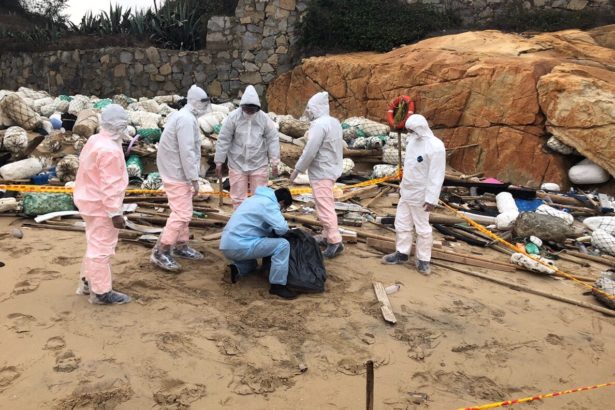 0104海漂死猪第二只》金门再发现中国海漂死猪成高风险区，行政院痛批中国不公开资讯