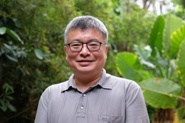 “龙猫教授”王升阳与森林秘密世界！白千层舒缓杀菌土肉桂抗氧化，宝藏挖不完