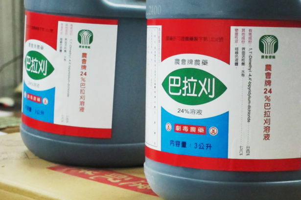 巴拉刈禁令延展一年，防检局：退场不变，但农民囤积太多，需去化以防误食更糟