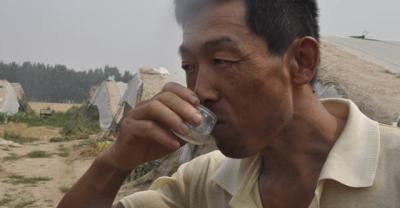 如何辨别农药的真伪，以及如何合理使用农药？