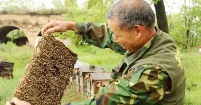 农药与农药如何混搭使用