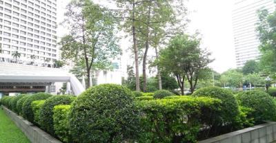 日本园艺大师的园艺作品 庭前花园 简单而唯美 园艺爱好者看看吧