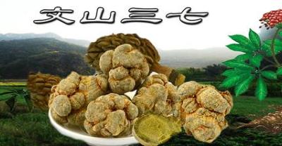 神奇的食药材——淡竹叶