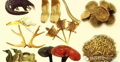 找药材：7种药材鉴别