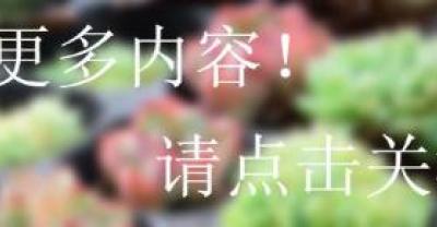 生姜种植：生姜种植如何才能事半功倍？