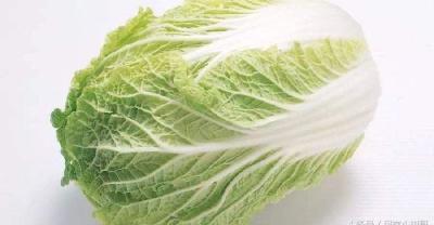 大棚蔬菜和露地蔬菜哪个食用更安全