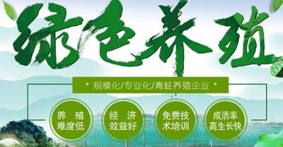 推荐：人工养殖金蝉、知了猴养殖技术、金蝉养殖技术