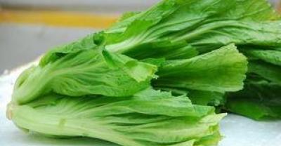种植春玉米的方法