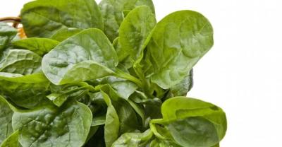 怎么种植红薯？红薯高效种植技术介绍